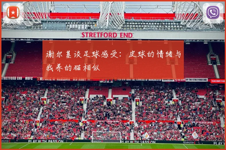 谢尔基谈足球感受：皮球的情绪与我养的猫相似
